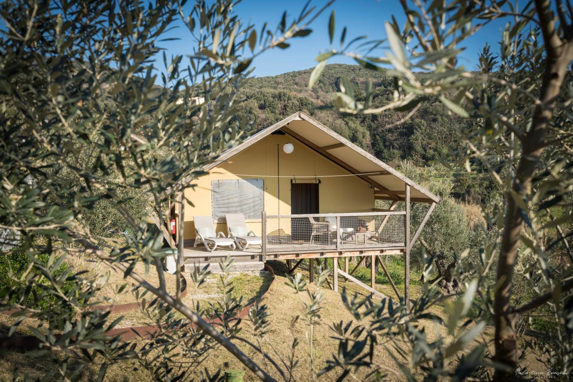Podere Cortesi Agriturismo Molinaccio ซานตาลูเช ภายนอก รูปภาพ